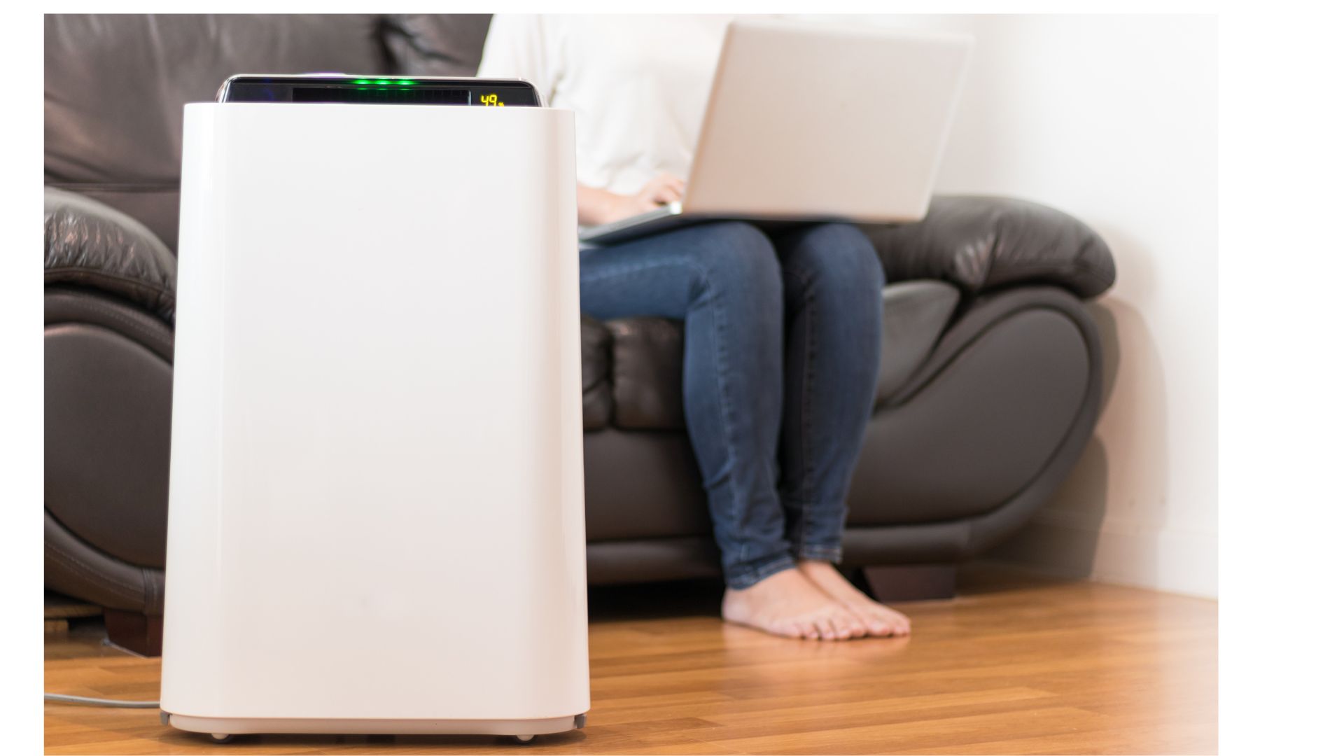 air purifier for mold with washable filter