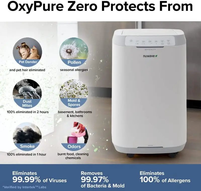 best air purifiers for mold with washable filters